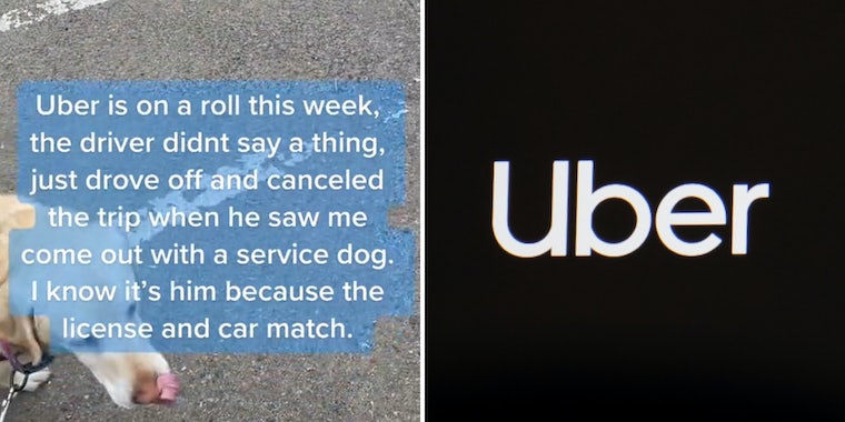 «Это просто неправильно»: Слепая женщина говорит, что водитель Uber отменил поездку и уехал, увидев ее служебную собаку 