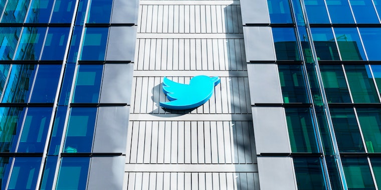 Фанаты Илона Маска возмущены его планом уволить 75% сотрудников Twitter 