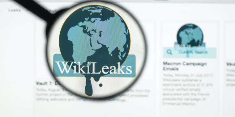 Веб-сайт WikiLeaks изо всех сил пытается оставаться в сети из-за исчезновения миллионов документов 